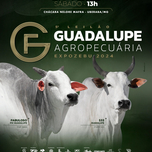 Banner - 5º LEILÃO GUADALUPE AGROPECUÁRIA - EXPOZEBU 2024 - 27/04/2024