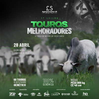 7° LEILÃO TOUROS MELHORADORES LS AGROPECUÁRIA - 28/04/2024