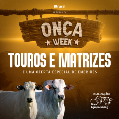 1º LEILÃO ONÇA WEEK - TOUROS 