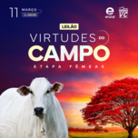 Banner - LEILÃO VIRTUDES DO CAMPO - ETAPA FÊMEAS