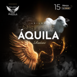 Banner - LEILÃO MATRIZES NELORE ÁQUILA