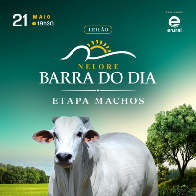LEILÃO NELORE DA BARRA DO DIA - ETAPA MACHOS