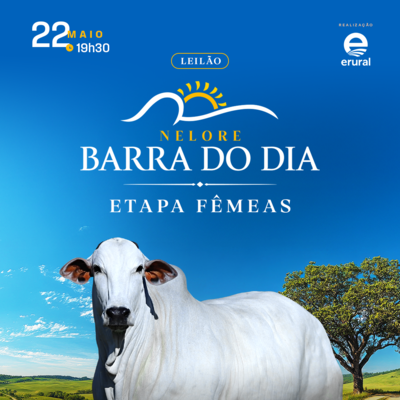 LEILÃO NELORE DA BARRA DO DIA - ETAPA FÊMEAS