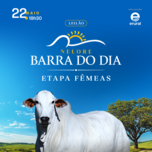 Banner - LEILÃO NELORE DA BARRA DO DIA - ETAPA FÊMEAS