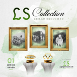 Banner - LEILÃO LS COLLECTION