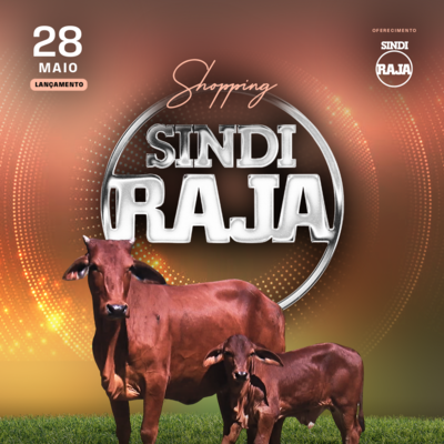 SHOPPING SINDI RAJA - FÊMEAS