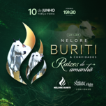 Banner - LEILÃO RAÍZES DO AMANHÃ - NELORE BURITI
