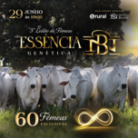 Banner - 3º LEILÃO DE FÊMEAS ESSÊNCIA GENÉTICA - NELORE DA BAMBÚ