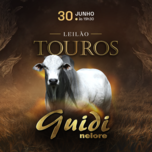 Banner - LEILÃO DE TOUROS - NELORE GUIDI