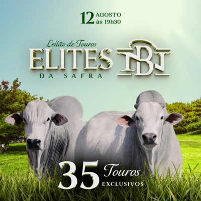 LEILÃO ELITES DA SAFRA NELORE DA BAMBÚ