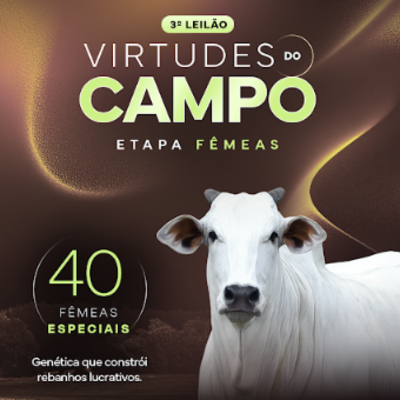 3º LEILÃO VIRTUDES DO CAMPO - ETAPA FÊMEAS
