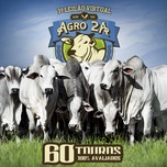 Banner - 3º LEILÃO VIRTUAL - AGRO 2A