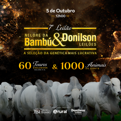 7º LEILÃO NELORE DA BAMBÚ E DONILSON LEILÕES