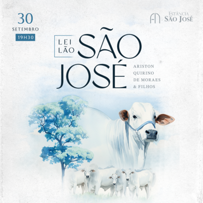 LEILÃO DE TOUROS  ESTÂNCIA SÃO JOSÉ