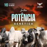 Banner - LEILÃO POTÊNCIA GENÉTICA - FAZENDA LIMEIRA