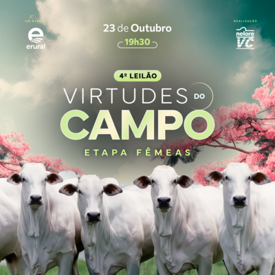 4º VIRTUDES DO CAMPO - ETAPA FÊMEAS