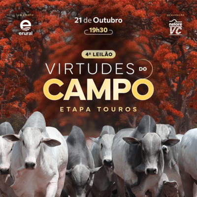 4º VIRTUDES DO CAMPO -  ETAPA TOUROS