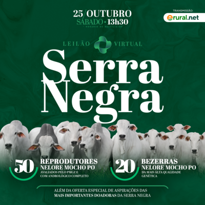 2º LEILÃO NELORE SERRA NEGRA - NELORE MOCHO