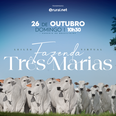 LEILÃO FAZENDA TRÊS MARIAS