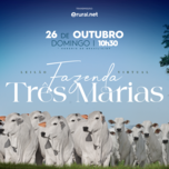 Banner - LEILÃO FAZENDA TRÊS MARIAS 