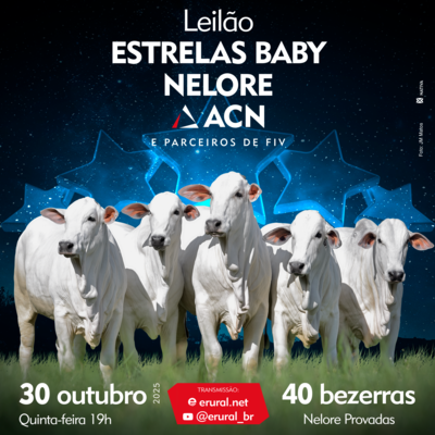 LEILÃO ESTRELAS BABY - NELORE ACN
