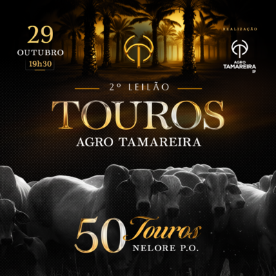 2º LEILÃO DE TOUROS AGRO TAMAREIRA