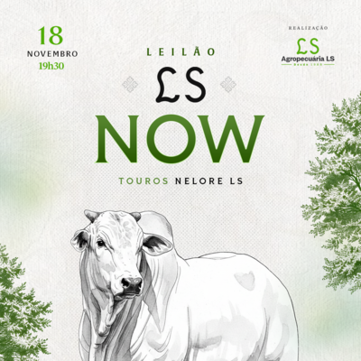 LEILÃO LS NOW