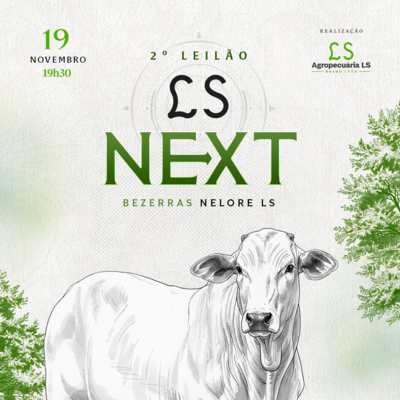 2º LEILÃO LS NEXT