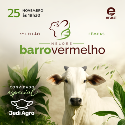 1º LEILÃO NELORE BARRO VERMELHO