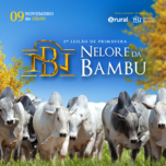Banner - 2º LEILÃO DE PRIMAVERA - NELORE DA BAMBÚ