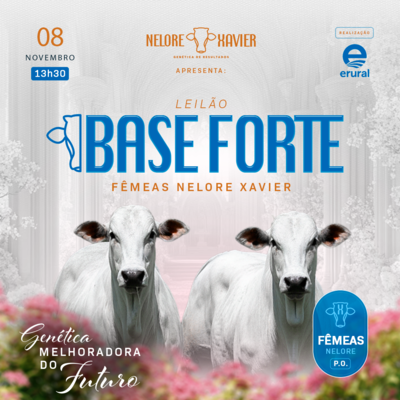 LEILÃO BASE FORTE - NELORE XAVIER 