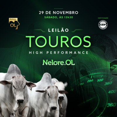 LEILÃO TOUROS HIGH PERFORMANCE - NELORE OL