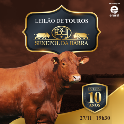 LEILÃO DE FÊMEAS  SENEPOL DA BARRA - ESPECIAL 10 ANOS 