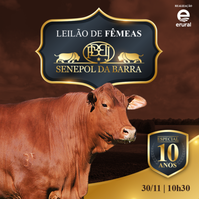 LEILÃO DE FÊMEAS  SENEPOL DA BARRA - ESPECIAL 10 ANOS
