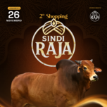 Banner - 2º SHOPPING SINDI RAJA