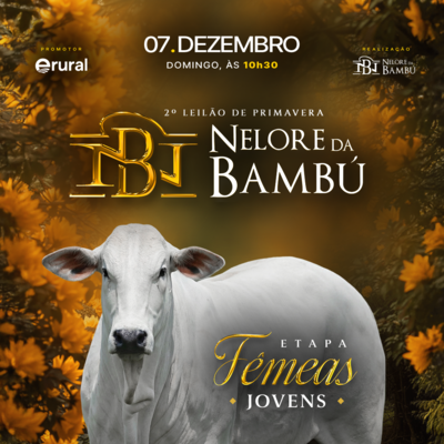 2º LEILÃO DE PRIMAVERA NELORE DA BAMBÚ - ETAPA FÊMEAS