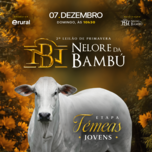 Banner - 2º LEILÃO DE PRIMAVERA NELORE DA BAMBÚ - ETAPA FÊMEAS