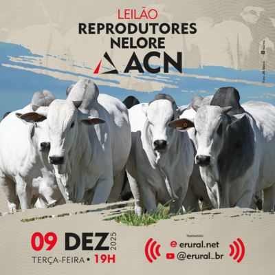 LEILÃO REPRODUTORES - NELORE ACN