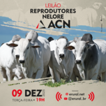 Banner - LEILÃO REPRODUTORES - NELORE ACN