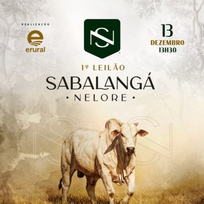 1º LEILÃO NELORE SABALANGÁ