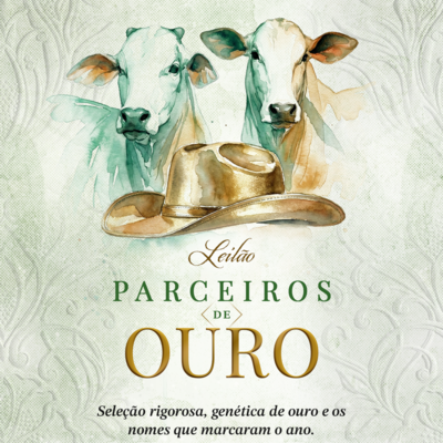 LEILÃO PARCEIROS DE OURO 
