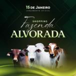 Banner - SHOPPING FAZENDA ALVORADA 
