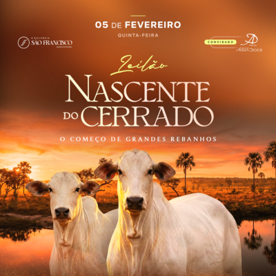 LEILÃO NASCENTE DO CERRADO - NELORE SÃO FRANCISCO