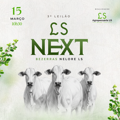 3º LEILÃO LS NEXT 