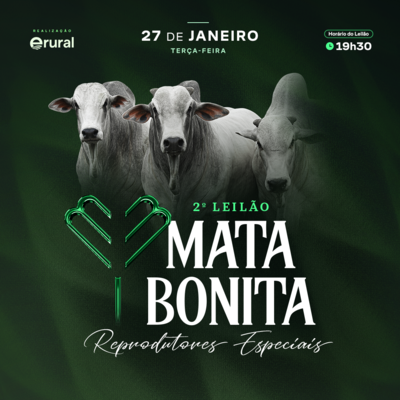 2º LEILÃO DE TOUROS MATA BONITA