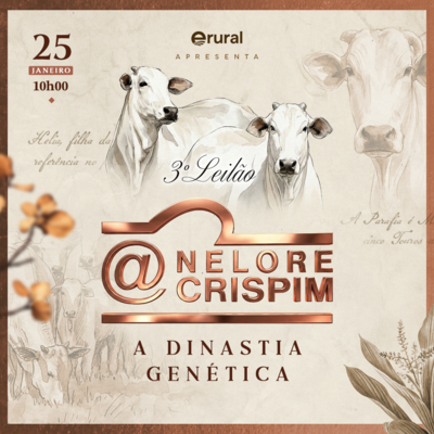 3º LEILÃO DINASTIA GENÉTICA - NELORE CRISPIM
