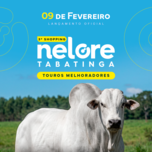 Banner - 3º SHOPPING NELORE TABATINGA 