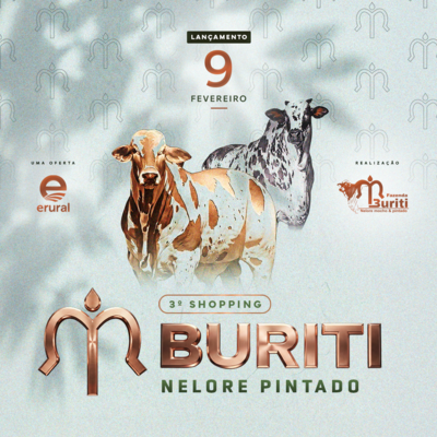 3º SHOPPING BURITI - NELORE PINTADO