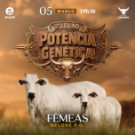Banner - 2º LEILÃO POTÊNCIA GENÉTICA - FAZENDA LIMEIRA