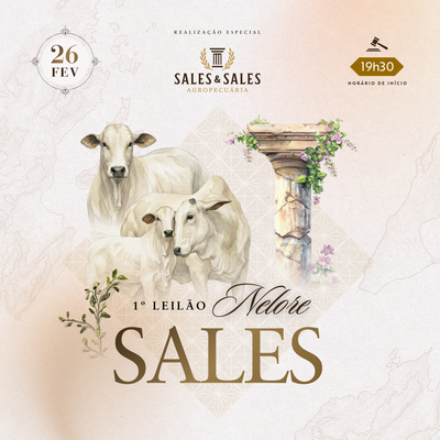 1º LEILÃO NELORE SALES